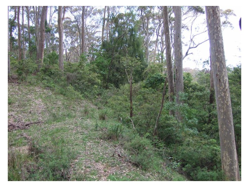 Lot 93 George Street, Bermagui NSW 2546