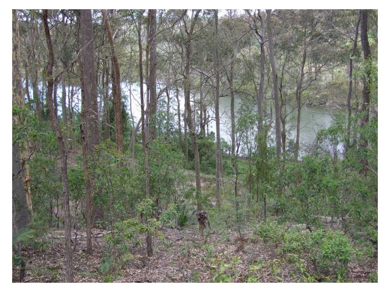 Lot 93 George Street, Bermagui NSW 2546