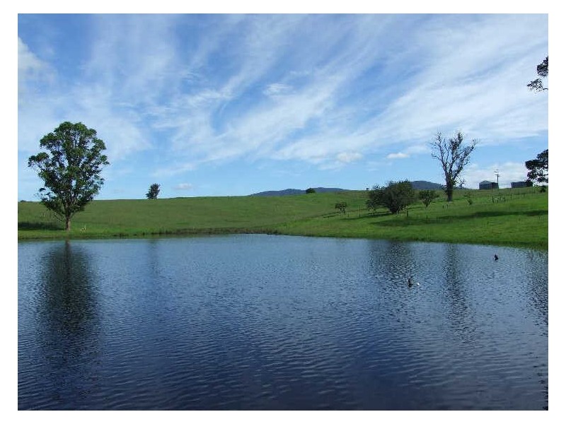 “Wilgoa”/505 Wandella Road, Cobargo NSW 2550