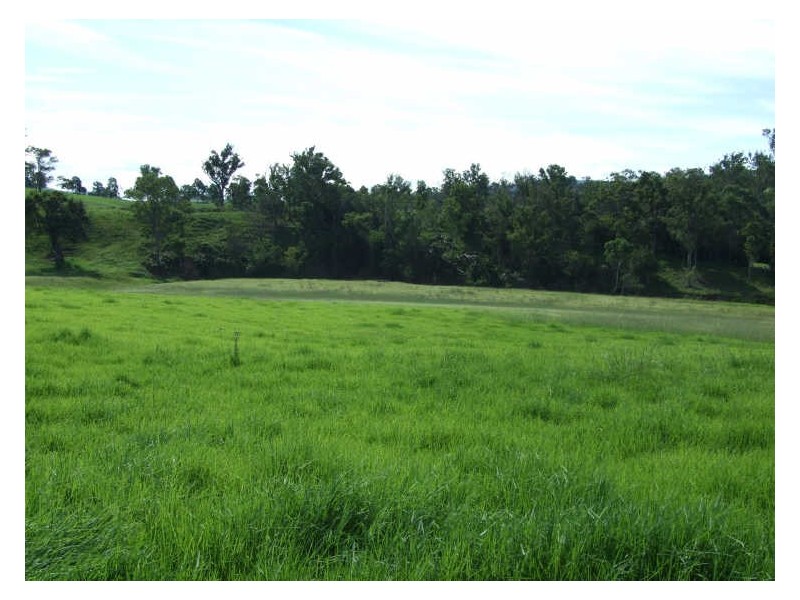 “Wilgoa”/505 Wandella Road, Cobargo NSW 2550