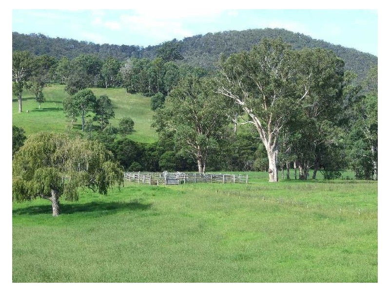 “Wilgoa”/505 Wandella Road, Cobargo NSW 2550