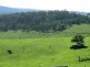Lot 1754 Boggy Creek Road, Millingandi NSW 2549