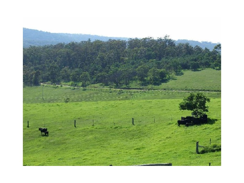 Lot 1754 Boggy Creek Road, Millingandi NSW 2549