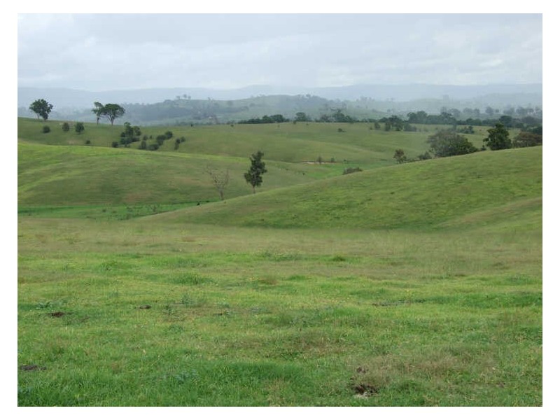 Lot 13 Kameruka Lane, Candelo NSW 2550