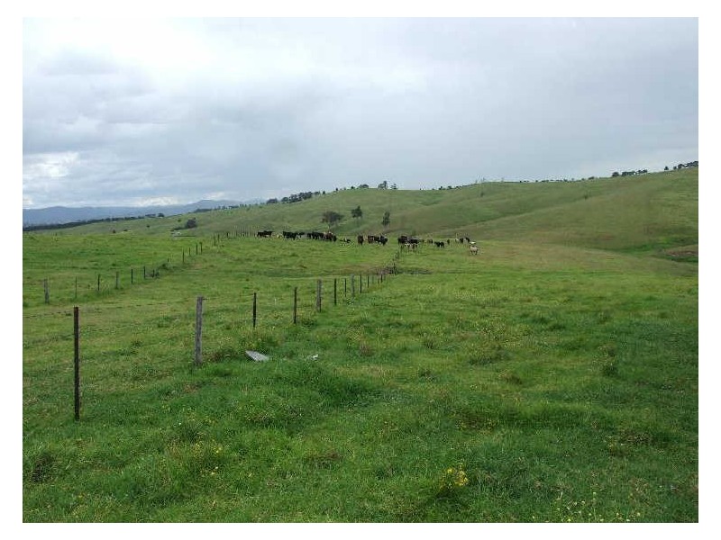 Lot 13 Kameruka Lane, Candelo NSW 2550