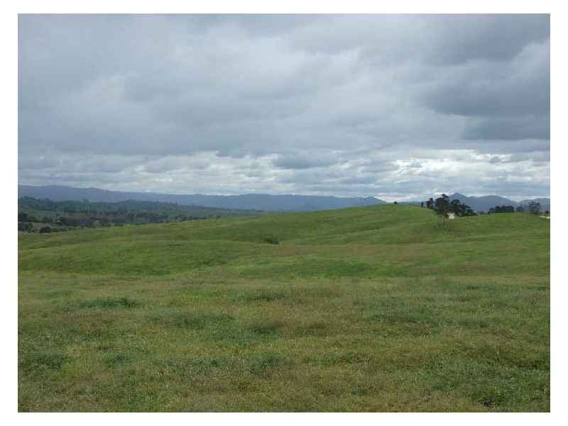 Lot 13 Kameruka Lane, Candelo NSW 2550