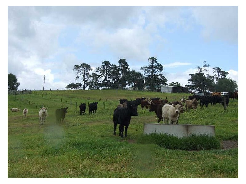 Lot 13 Kameruka Lane, Candelo NSW 2550