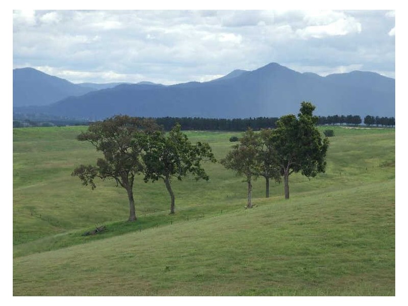 Lot 13 Kameruka Lane, Candelo NSW 2550