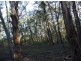 Lot 1 in subdivision of/290 Blackrange Road, Bega NSW 2550