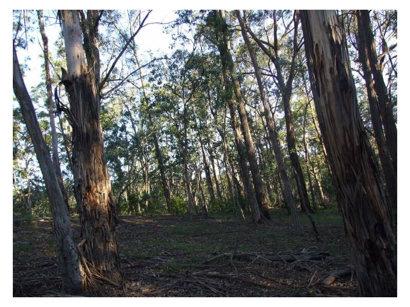 Lot 1 in subdivision of/290 Blackrange Road, Bega NSW 2550