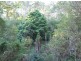 Lot 2 in subdivision of/290 Blackrange Road, Bega NSW 2550