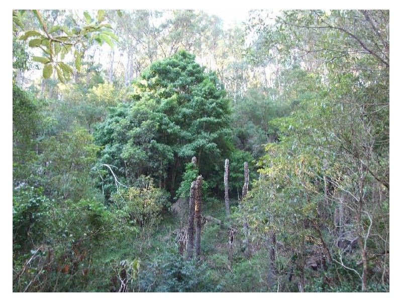 Lot 2 in subdivision of/290 Blackrange Road, Bega NSW 2550