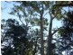 Lot 2 in subdivision of/290 Blackrange Road, Bega NSW 2550
