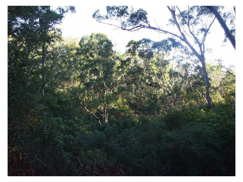Lot 2 in subdivision of/290 Blackrange Road, Bega NSW 2550