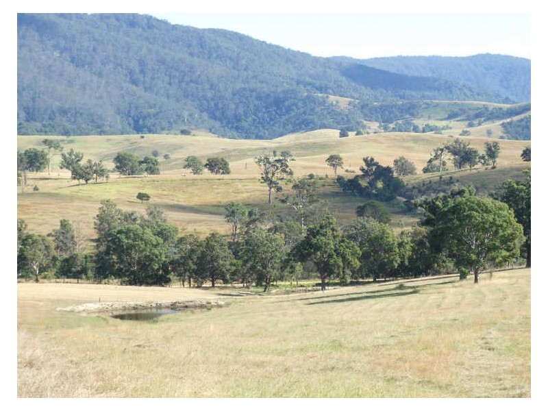 Lot 11 Slaters Lane, Candelo NSW 2550