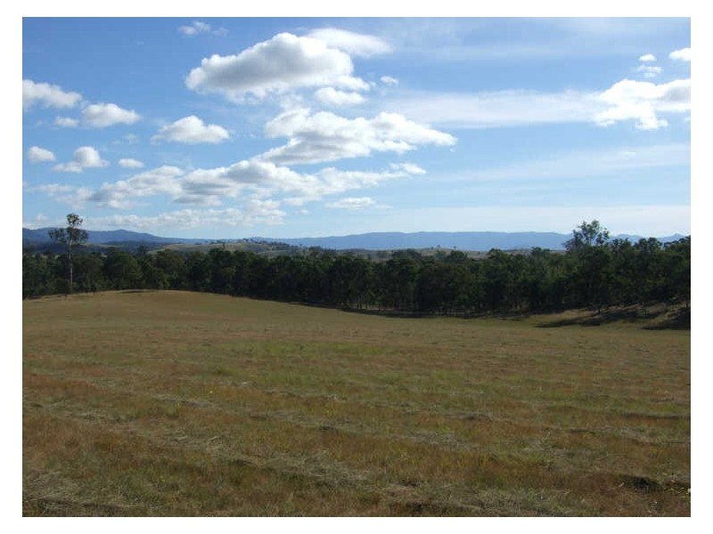 Lot 11 Slaters Lane, Candelo NSW 2550