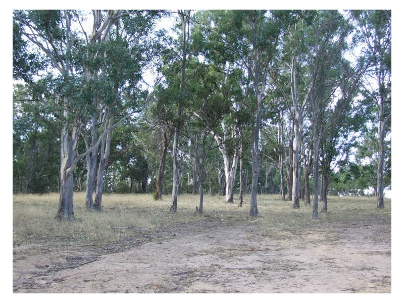 Lot 11 Slaters Lane, Candelo NSW 2550