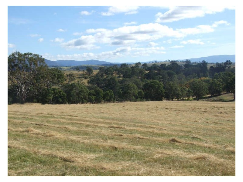 Lot 13 Slaters Lane, Candelo NSW 2550