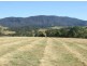 Lot 13 Slaters Lane, Candelo NSW 2550