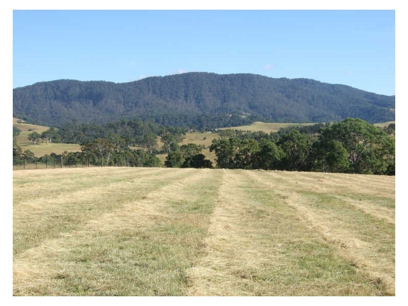 Lot 13 Slaters Lane, Candelo NSW 2550
