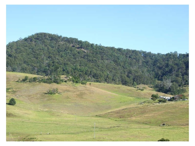 ‘Leith Court’/340 Atkins Anderson Road, Wolumla NSW 2550