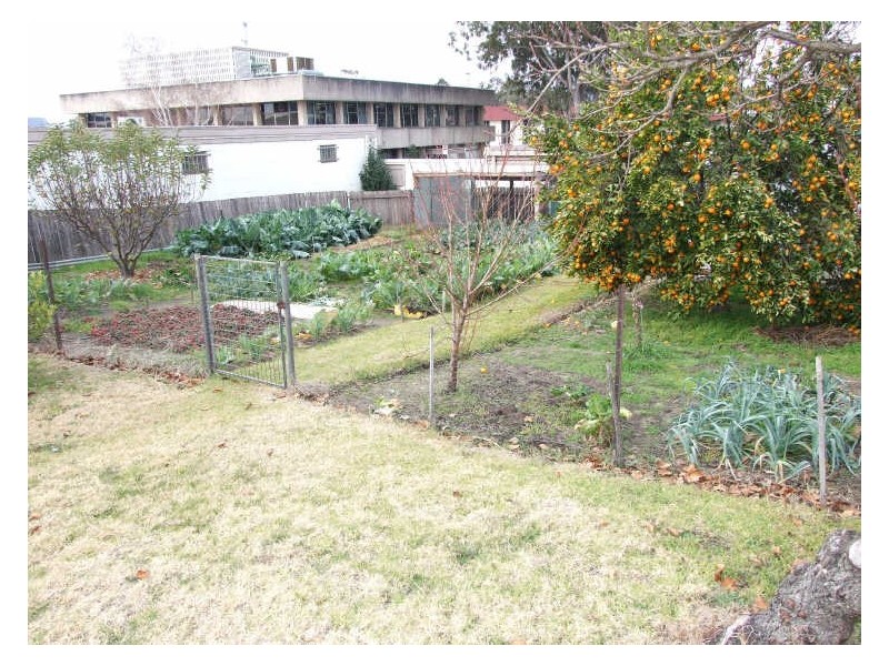 24 Peden Street, Bega NSW 2550