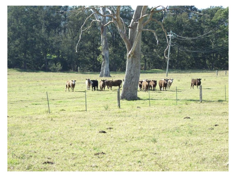 ‘Ayr Farm’/64 Warragaburra Lane, Bega NSW 2550