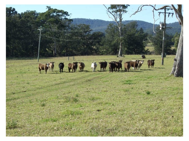 ‘Ayr Farm’/64 Warragaburra Lane, Bega NSW 2550