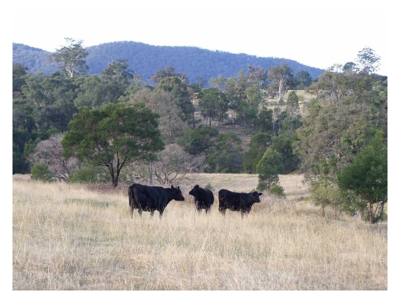 940 Wandella Road, Cobargo NSW 2550