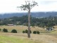 940 Wandella Road, Cobargo NSW 2550