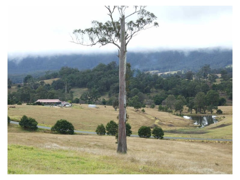 940 Wandella Road, Cobargo NSW 2550