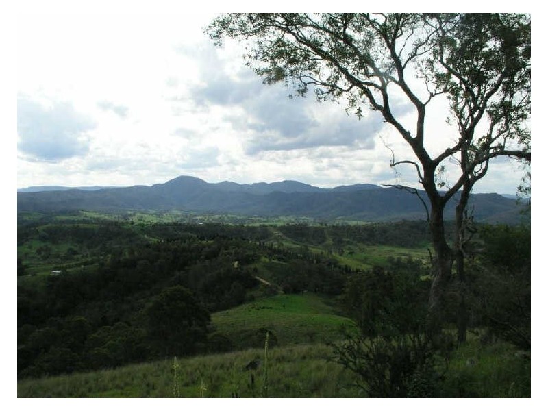 0250 Peak Lane, Bega NSW 2550