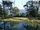 166 Hore Lacy Road, Brogo NSW 2550