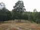 982 Yowrie Road, Cobargo NSW 2550