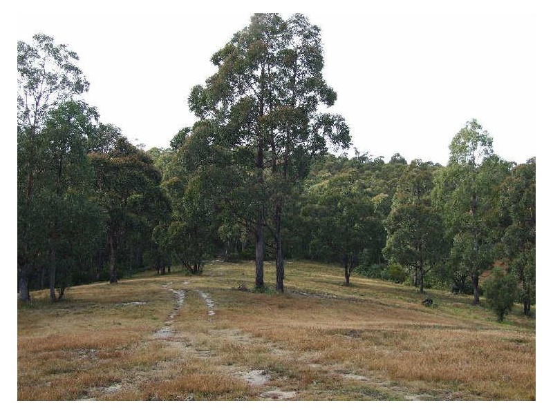 982 Yowrie Road, Cobargo NSW 2550