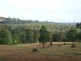 982 Yowrie Road, Cobargo NSW 2550