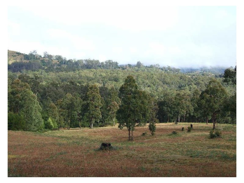 982 Yowrie Road, Cobargo NSW 2550