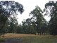 982 Yowrie Road, Cobargo NSW 2550