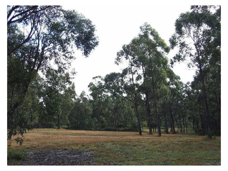982 Yowrie Road, Cobargo NSW 2550