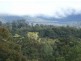 982 Yowrie Road, Cobargo NSW 2550