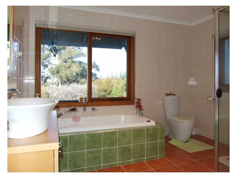 561 West Kameruka Road, Candelo NSW 2550