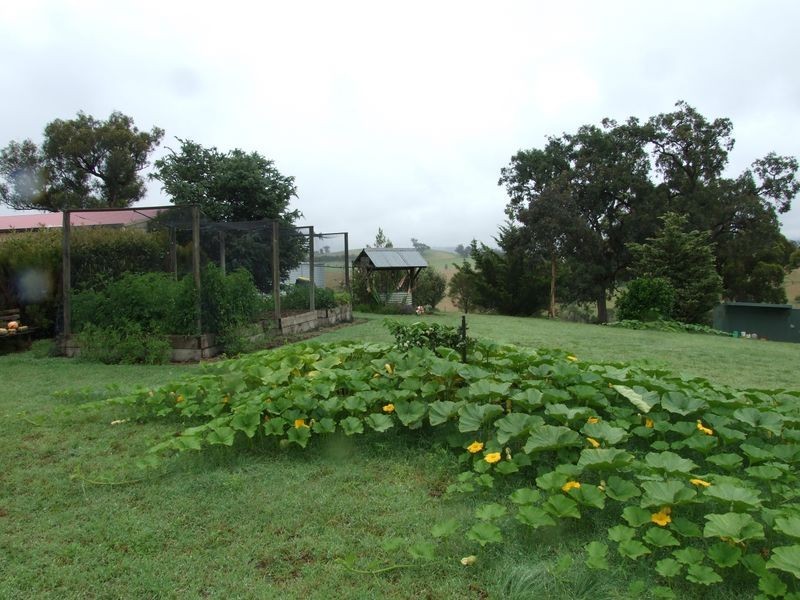 561 West Kameruka Road, Candelo NSW 2550