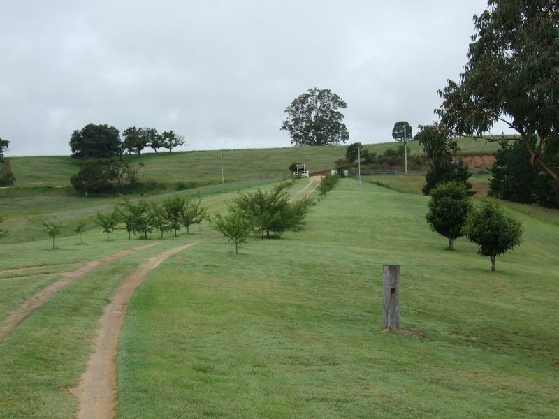 561 West Kameruka Road, Candelo NSW 2550