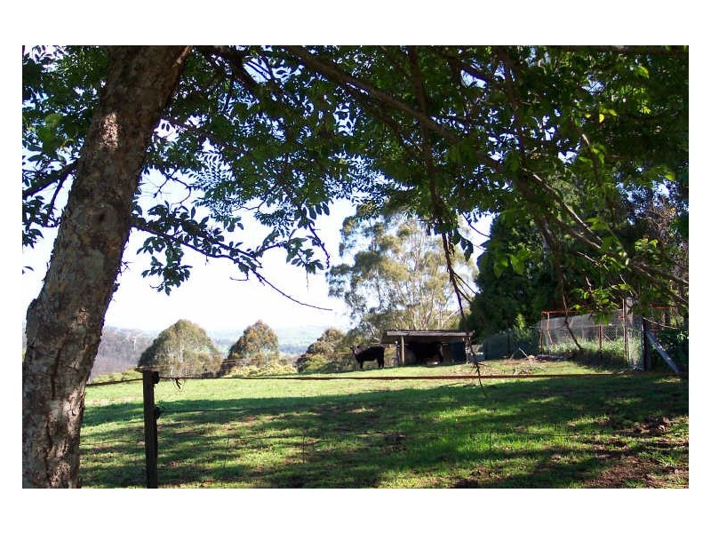 12880 Princes Highway, Brogo NSW 2550