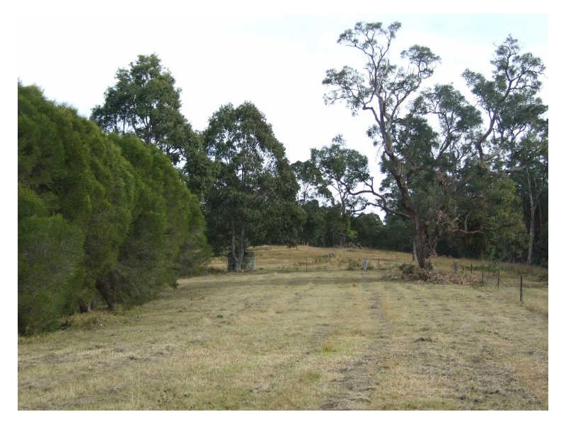 12880 Princes Highway, Brogo NSW 2550