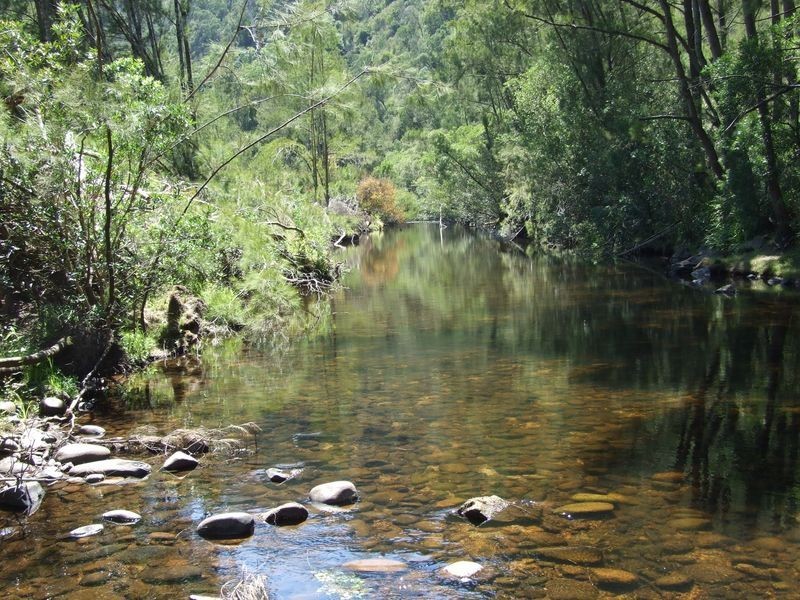 12880 Princes Highway, Brogo NSW 2550