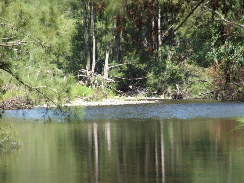 12880 Princes Highway, Brogo NSW 2550