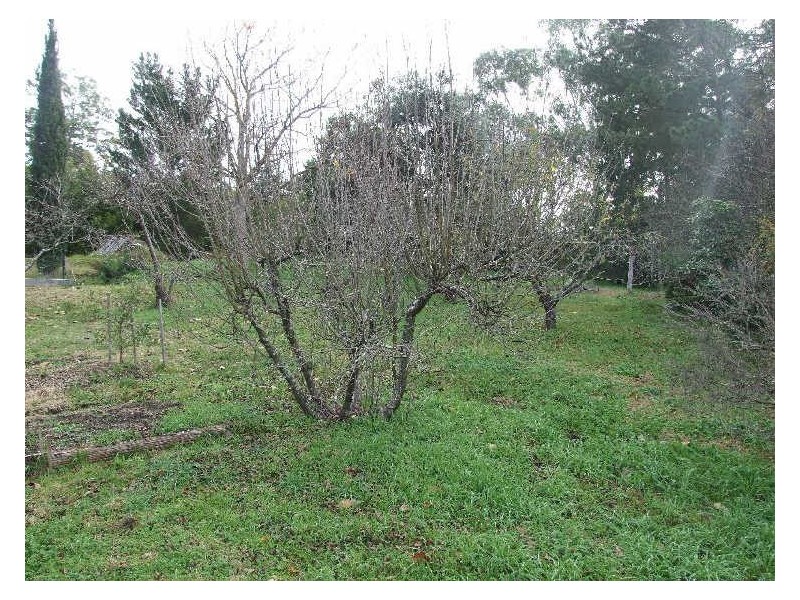 39 Panbula Street, Candelo NSW 2550