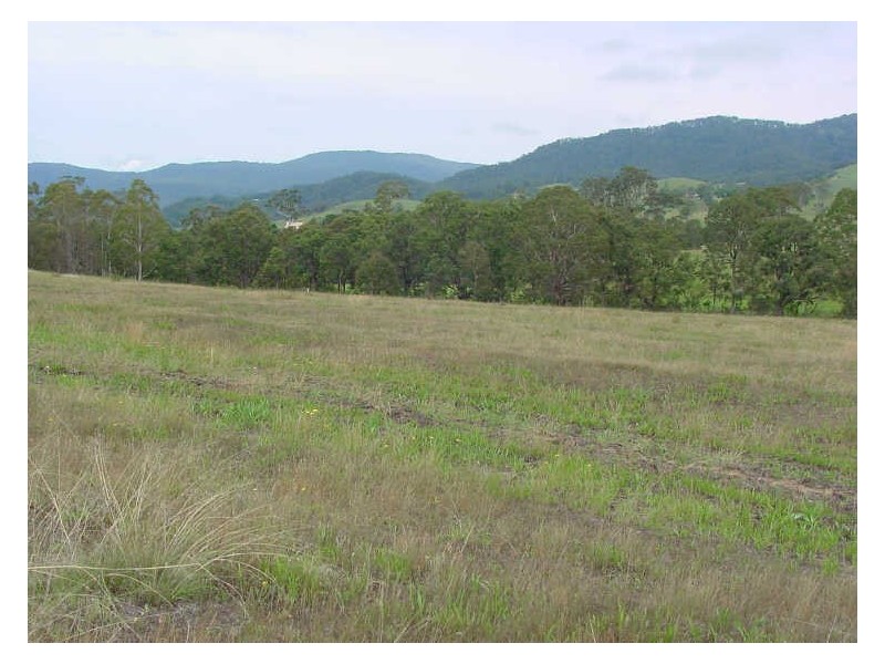 Lot 2310 Slaters Lane, Candelo NSW 2550