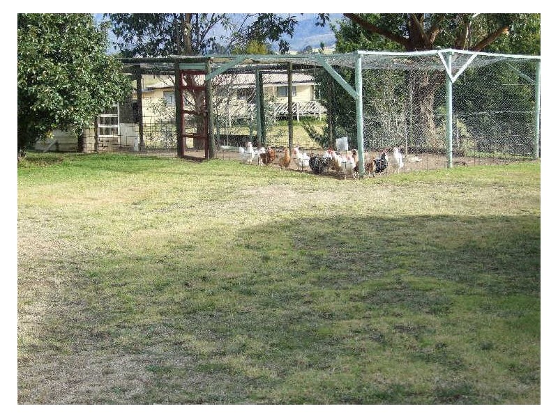 29 Loftus Street, Bemboka NSW 2550